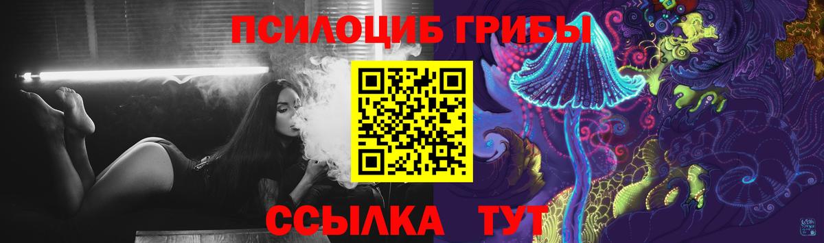 Домодедово  Галлюциногенные грибы Psilocybe  Вход с VPN 